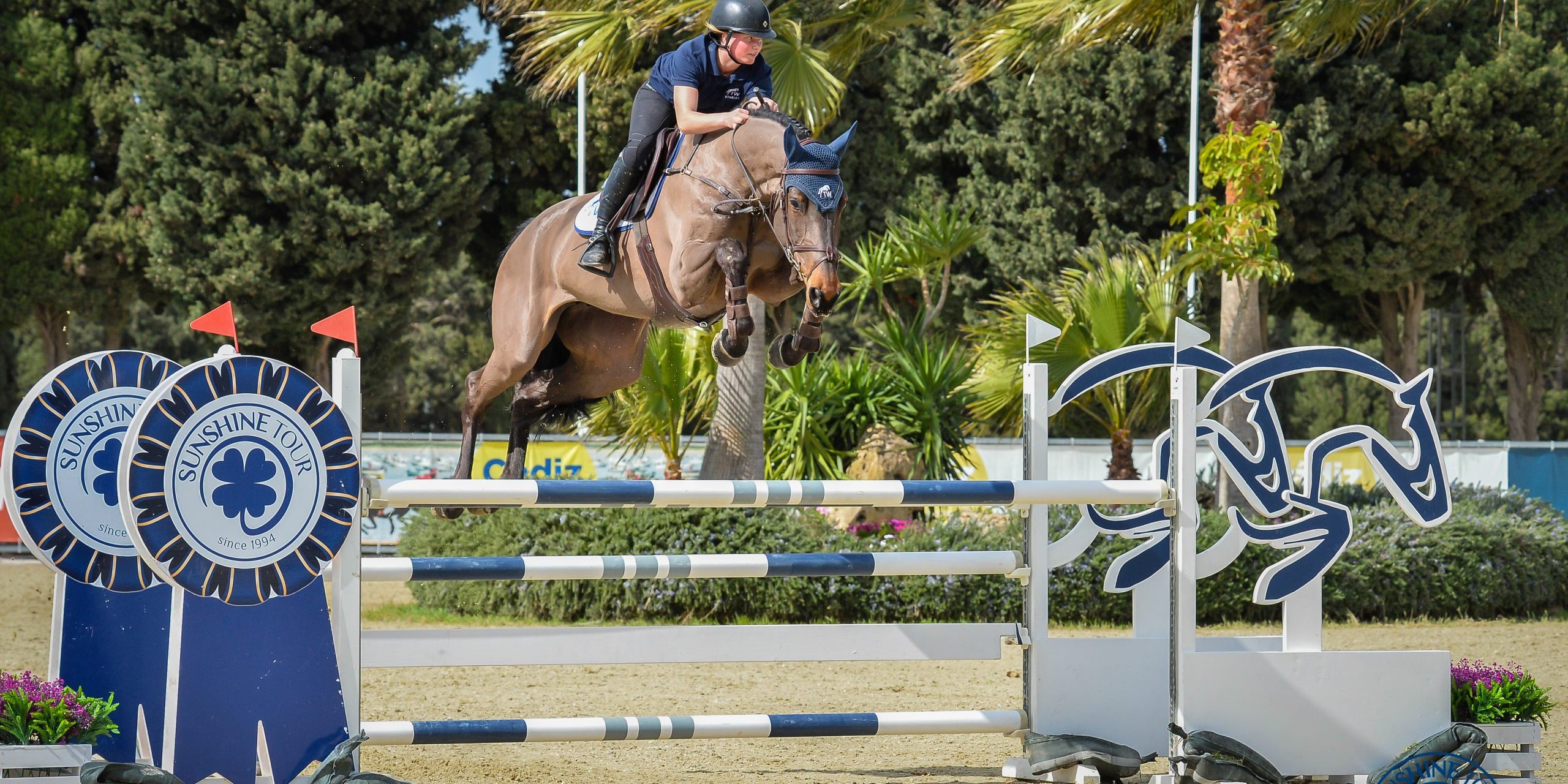 SUNSHINE TOUR 2020 www.moisesbasallote.com