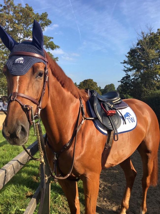 7d85b46c-bcf9-47e3-94a5-662ad4607c50