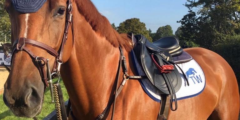 7d85b46c-bcf9-47e3-94a5-662ad4607c50