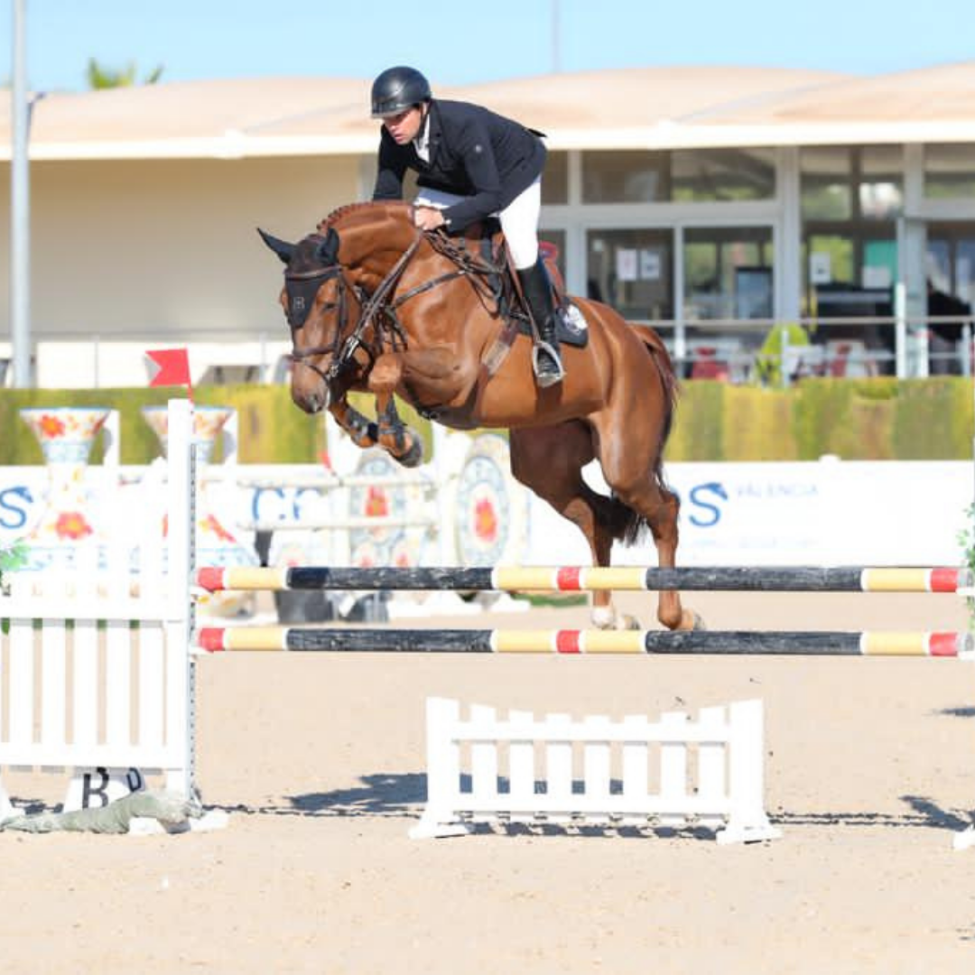 Untitled design - 2021-08-03T100022.670 Untitled design - 2021-08-03T100022.670