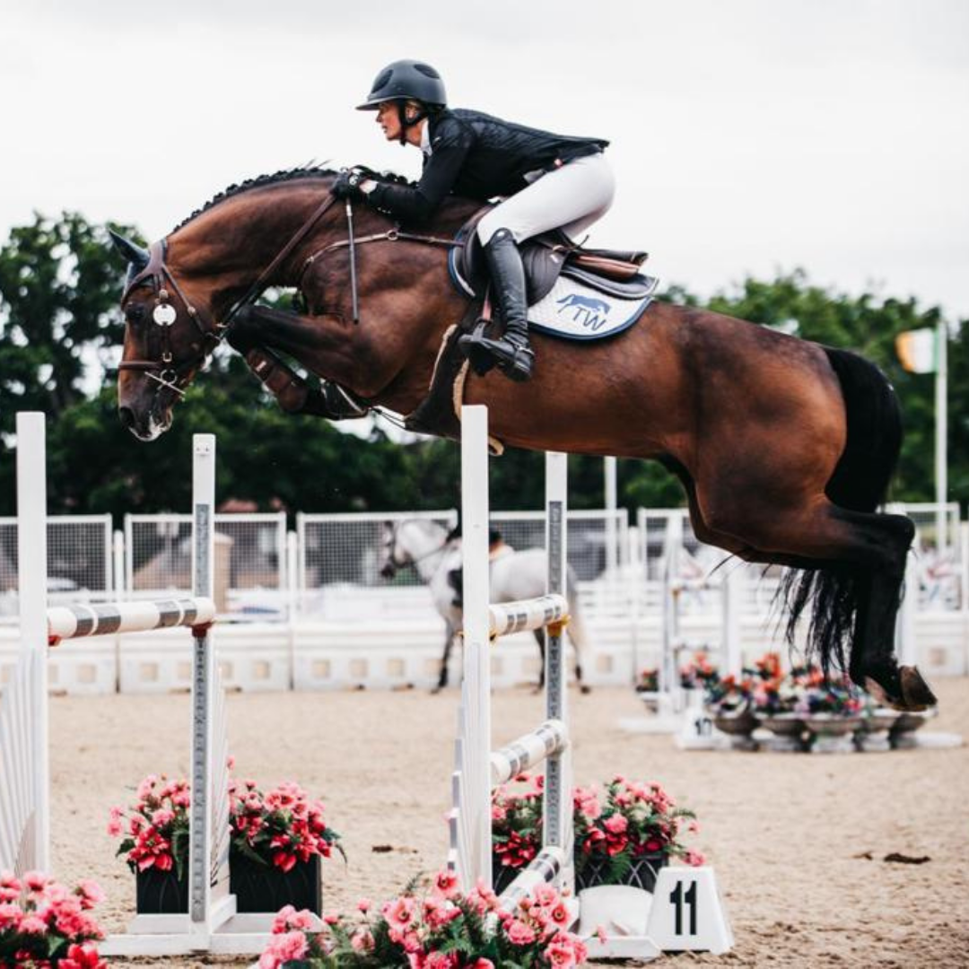 Untitled design (2) Untitled design (2)